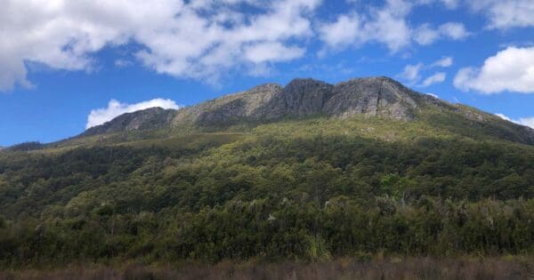 Mount farrell 600x315