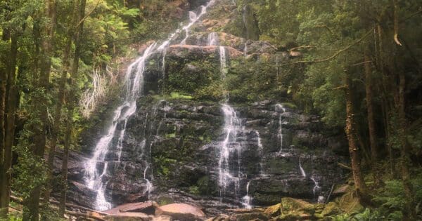 Franklin Nature Trail (1.2km) Nelson falls 600x315