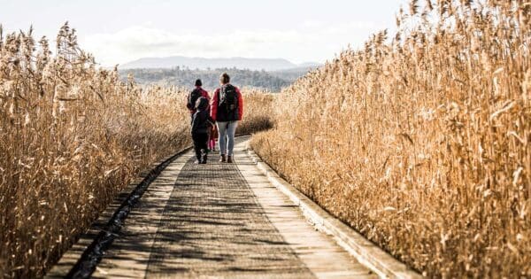 Tamar island 600x315