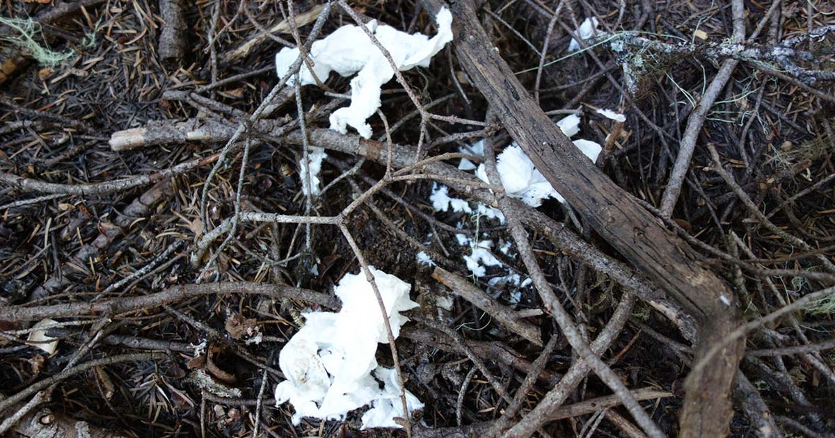 Toilet paper on trail