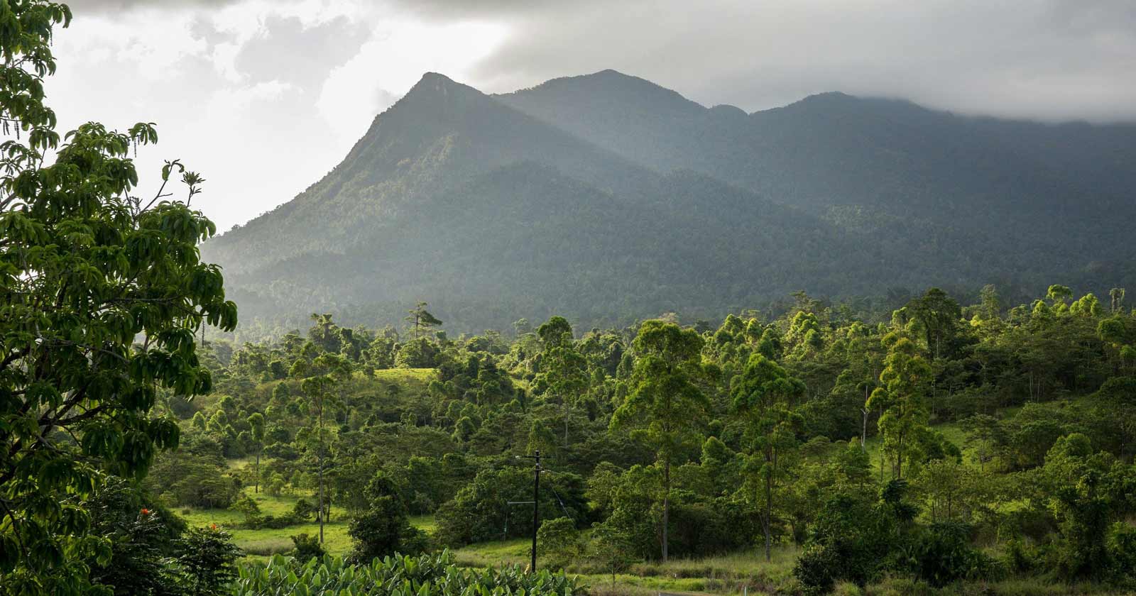 Best overnight and multi-day hikes in Queensland Mount bartle frere, atherton tablelands