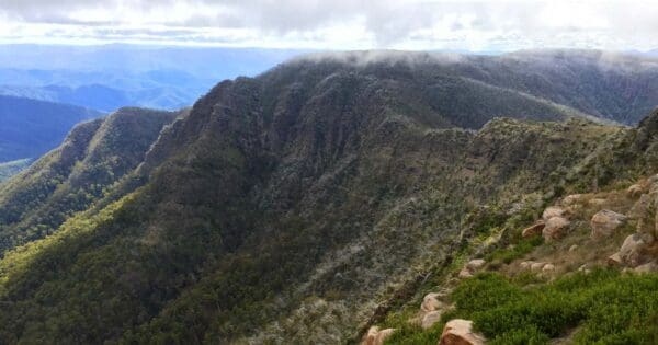 Crosscut saw and mt speculation 600x315