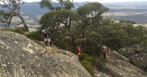 Beeripmo Walk (21km) Mount langi ghiran 600x315