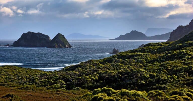 South coast track 768x403