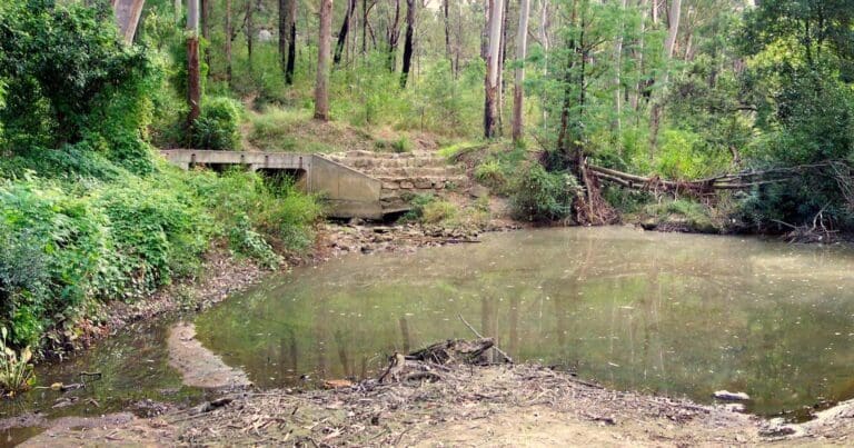 Vimeira Road to De Burghs Bridge Walk (5.1km) Vimeira rd to de burghs bridge 768x403