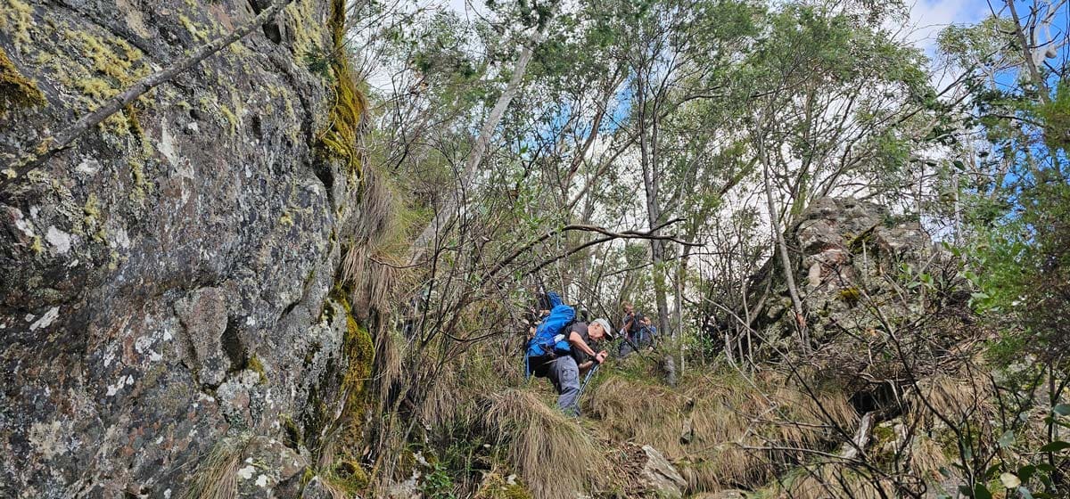 Buller Huts Trail