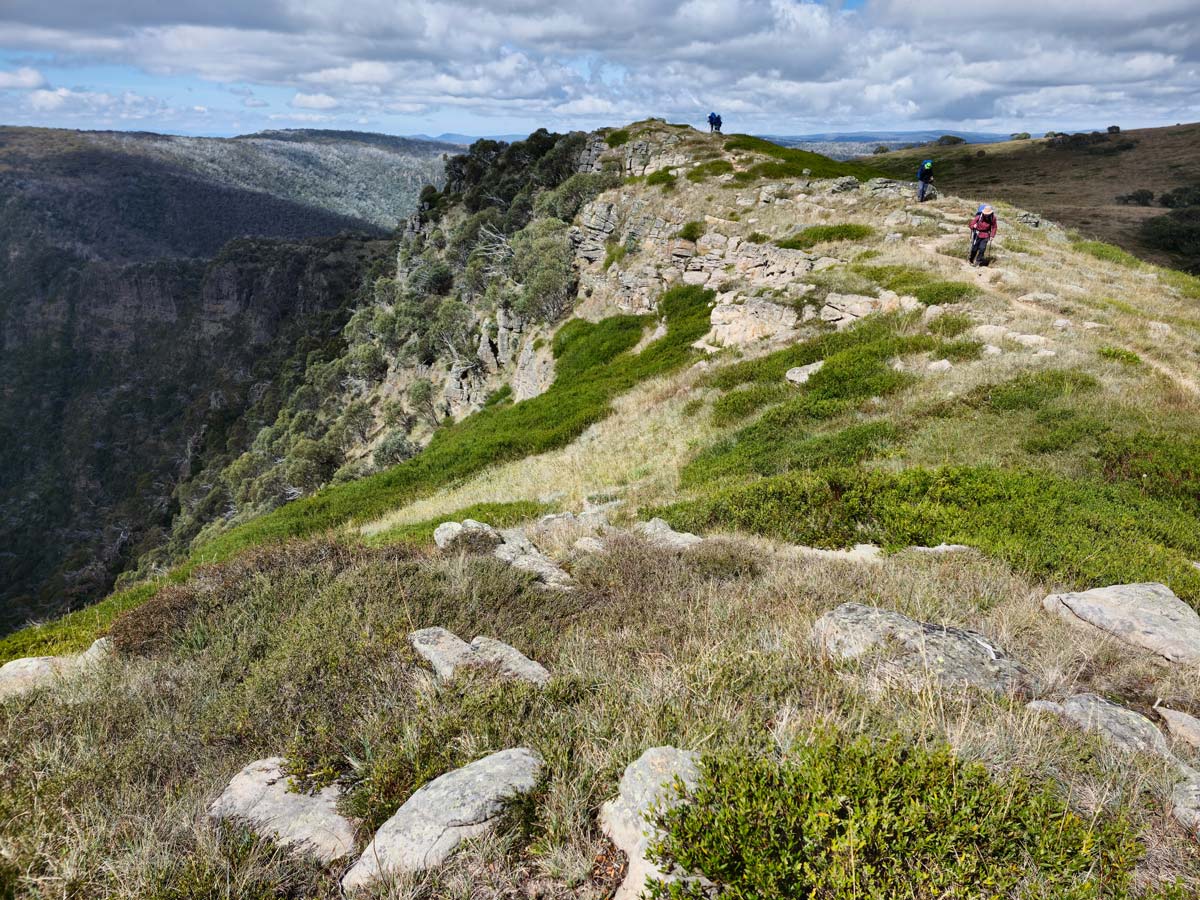 Buller Huts Trail