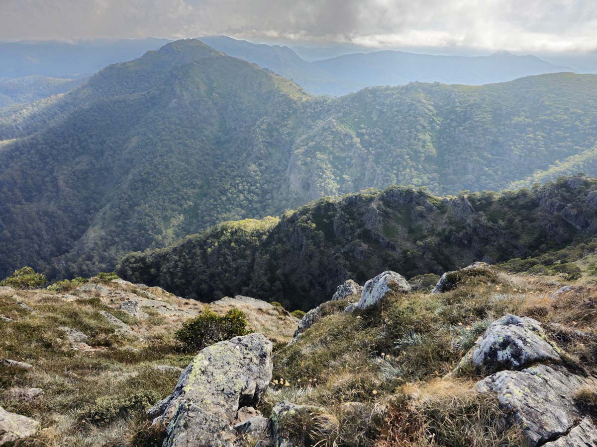 Buller Huts Trail