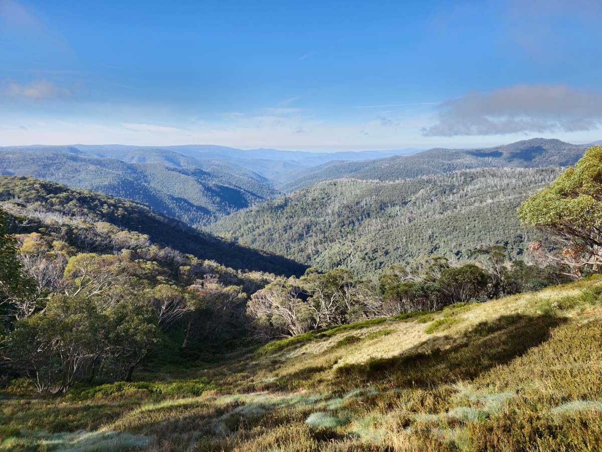 Buller Huts Trail