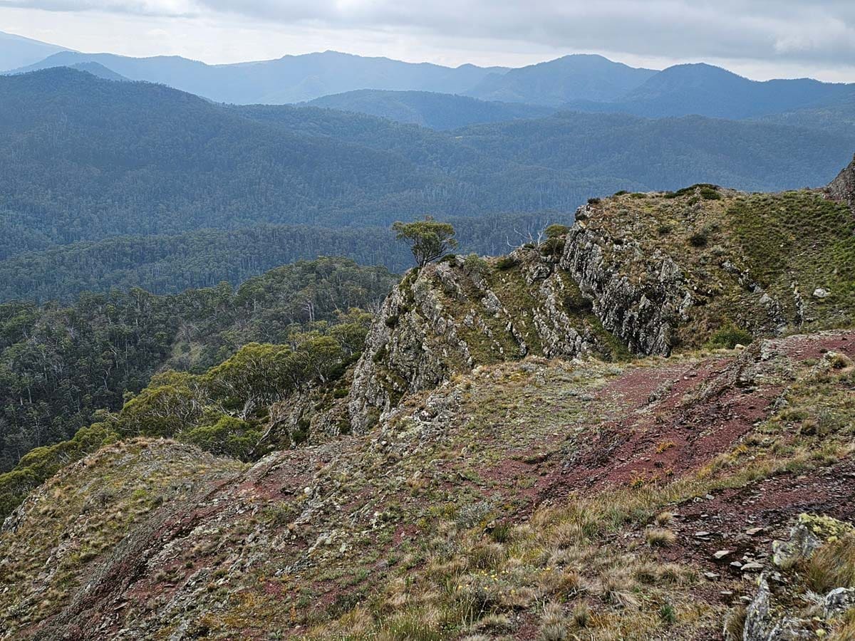 Buller Huts Trail