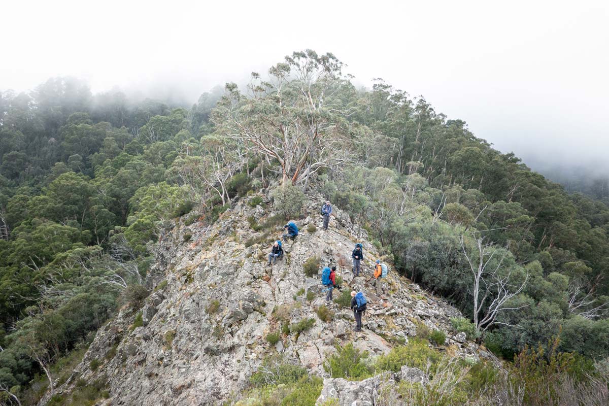 Buller huts trail