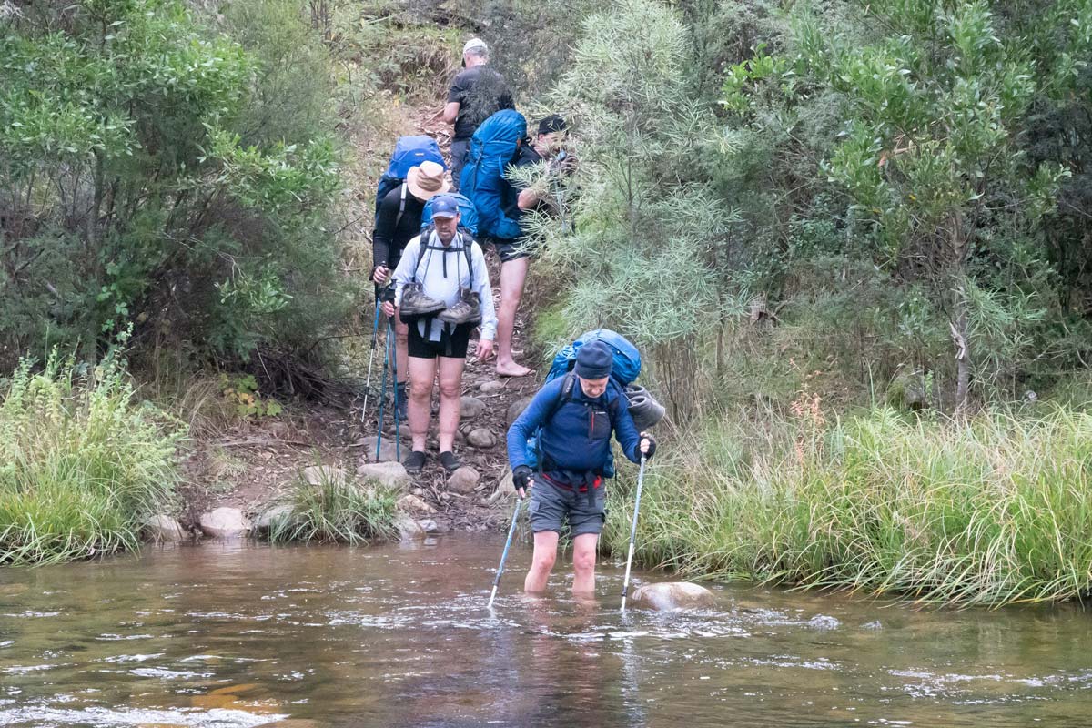 Buller Huts Trail