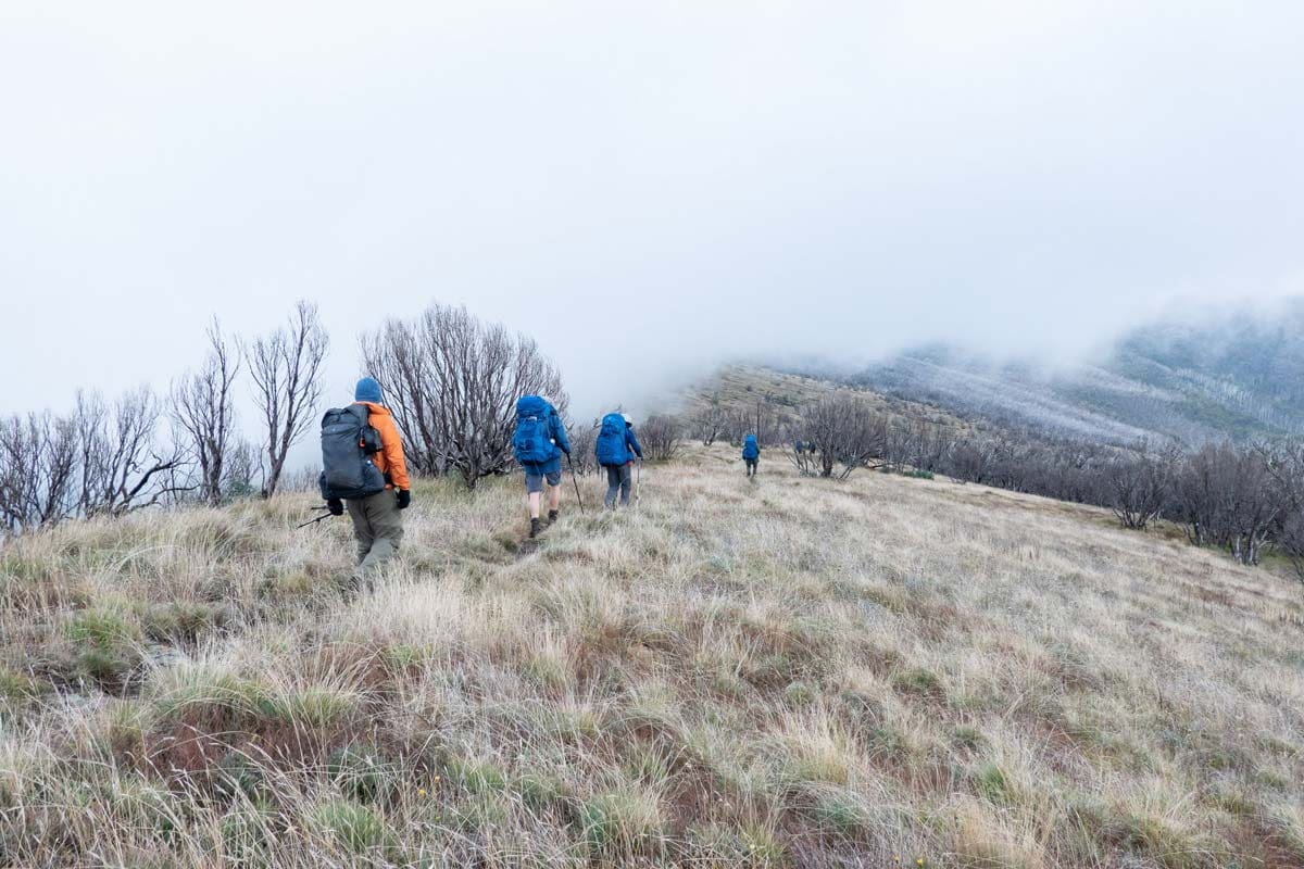 Buller Huts Trail