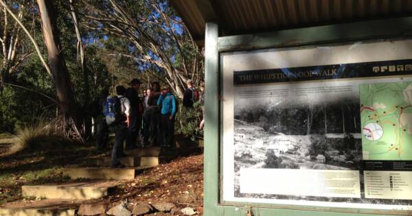 Blue Mount & Mount Wilson Hike (27.7km) The whipstick loop 600x315