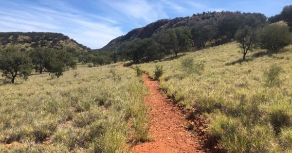 Yeperenye trail 600x315