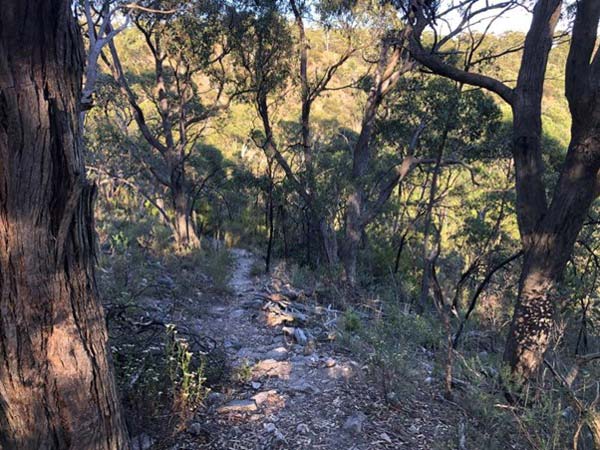 Yurrebilla Trail