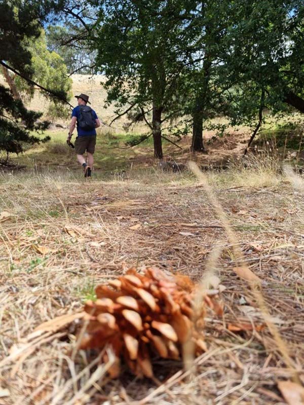 Yurrebilla Trail