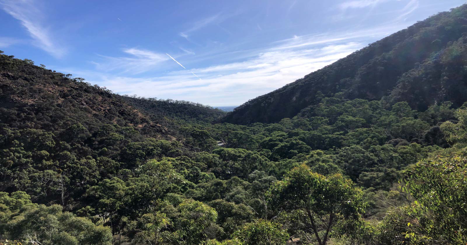 Yurrebilla trail