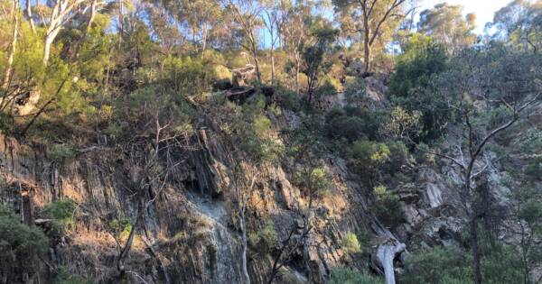 Pyrites Creek Circuit Hike (14km) Goodmans weir circuit 600x315