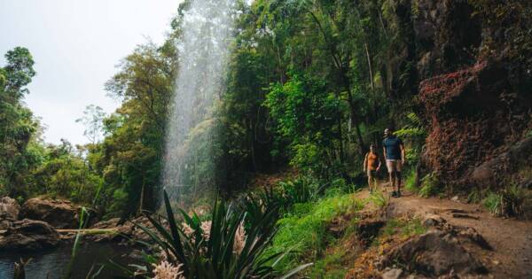 Walk On Water Walking Track (1km) Warrie circuit 600x315