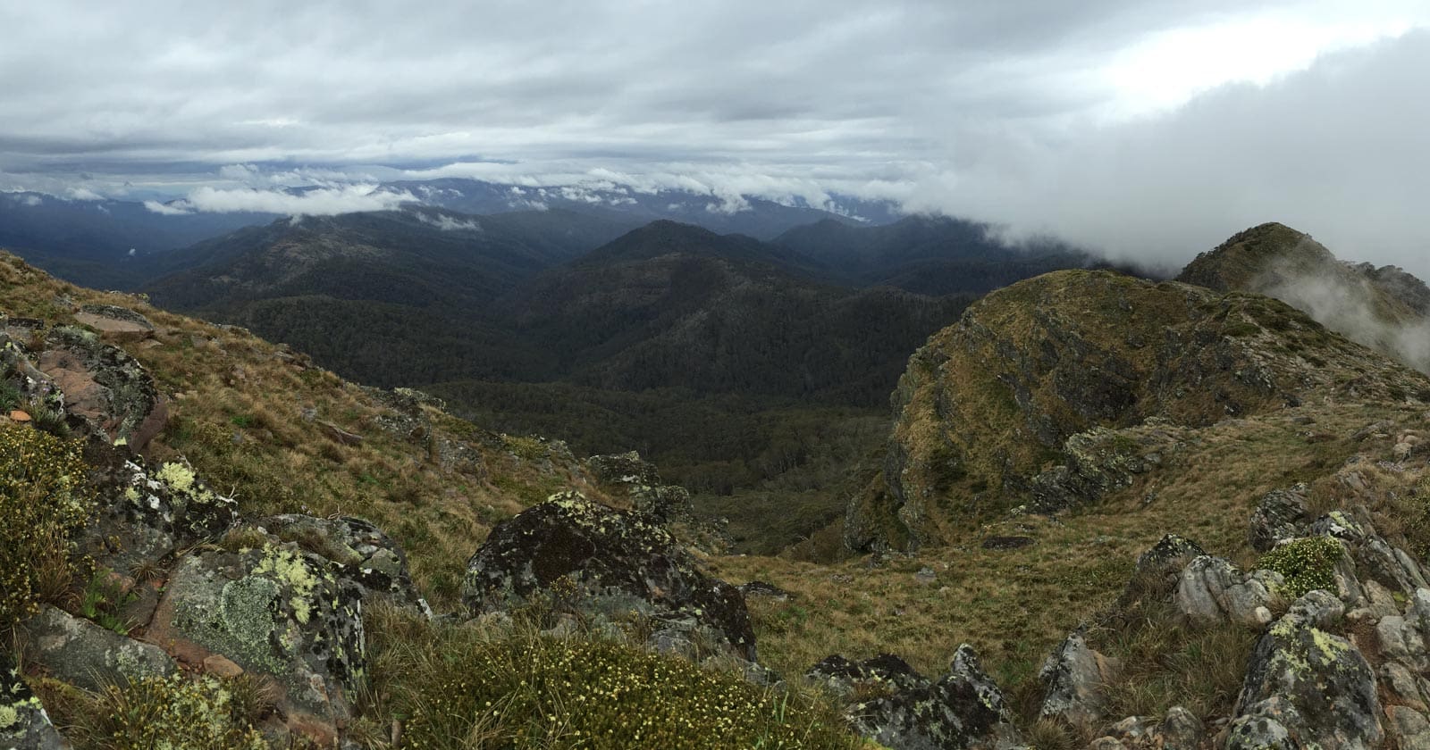The viking circuit victoria
