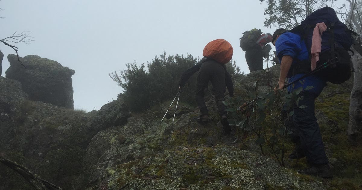 Viking circuit scrambling