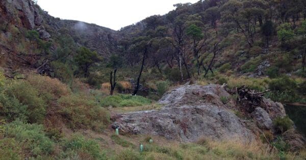 Centenary Walk and The Island Centenary walk and the island