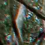 Avatar of alan jones