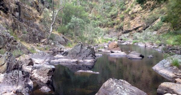 Spanish onion and lerderderg track