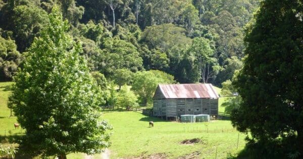 Yarramalong to Cedar Brush Yarramalong to cedar brush