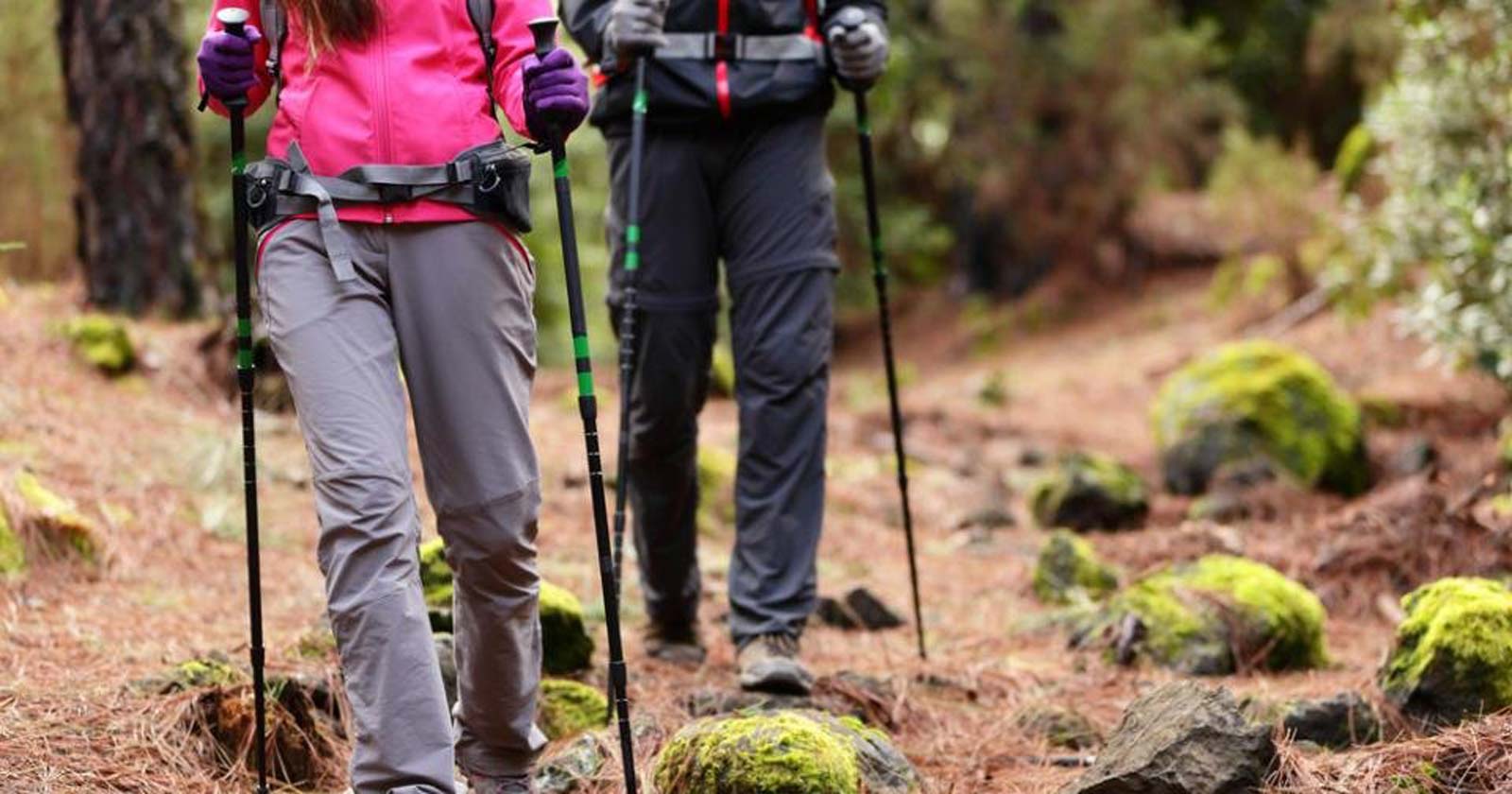 Essential hiking gear  Trail Hiking Australia