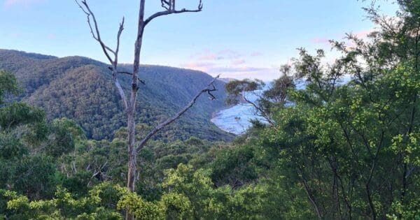 Hikes Coast view from jamieson track 600x315
