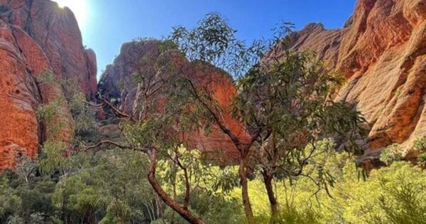 Homestead valley trail