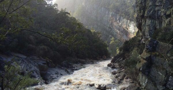 Penguin cradle trail