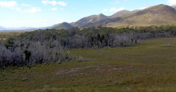 Port davey track