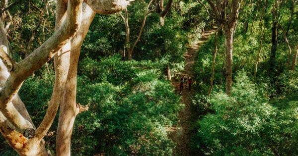 Shoal bay to fingal bay walk