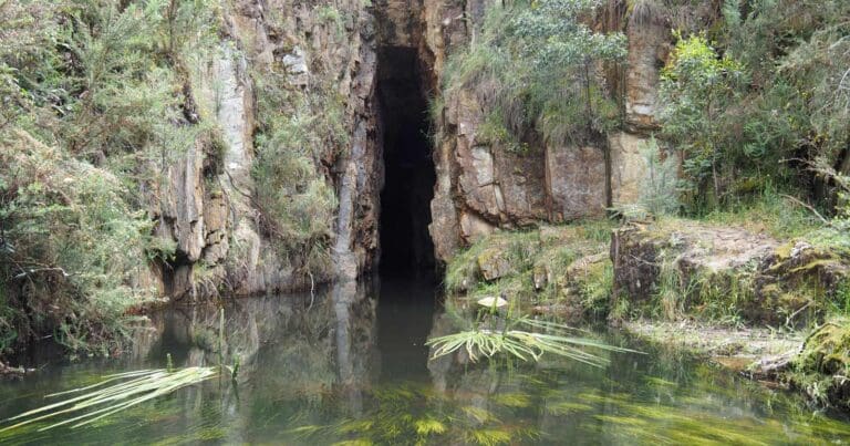the Tunnel The tunnel