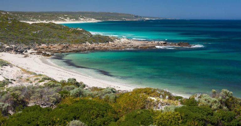 Cape to Cape Track Cape to cape track