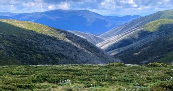 Hotham Huts Walk Hotham huts walk