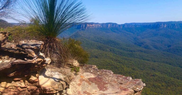 Mount Solitary Walking Track Mount solitary walking track