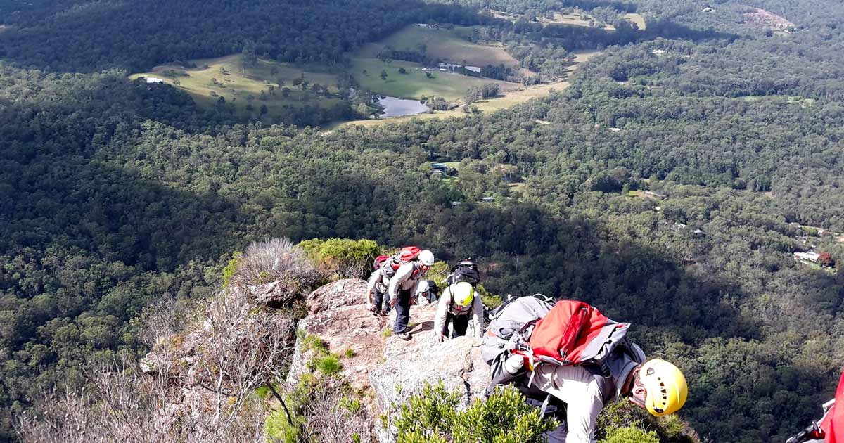 Bush search and rescue australia
