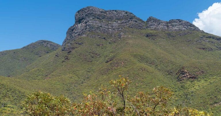 Bluff knoll stirling range national park
