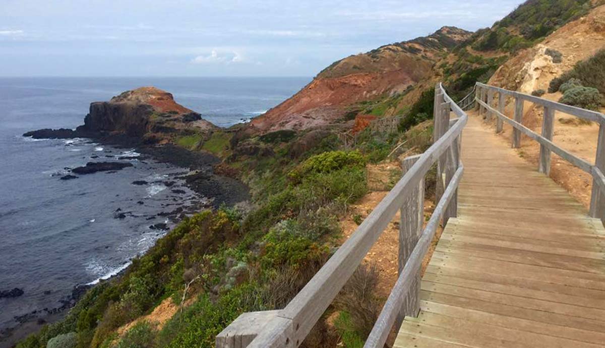 10 popular hikes near Melbourne: Hand picked for you Bushrangers bay & gunnamatta – mornington peninsula national park
