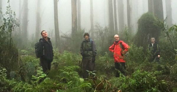 Donnellys weir mt st leonard