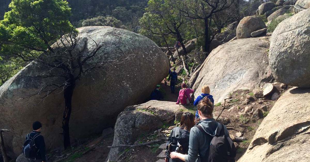 10 popular hikes near Melbourne: Hand picked for you East west walk you yangs regional park