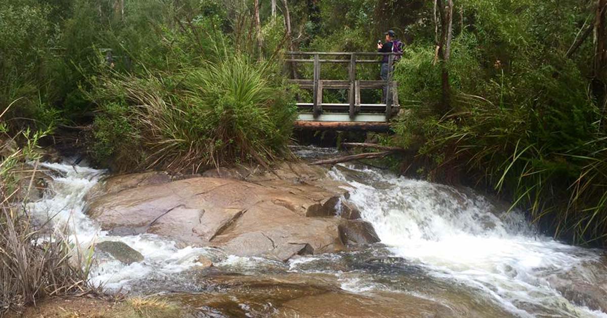 10 popular hikes near Melbourne: Hand picked for you Keppell lookout & steavenson falls