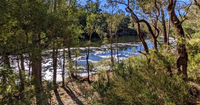 Island pool walk trail