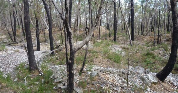 Great Dividing Trail Great dividing trail