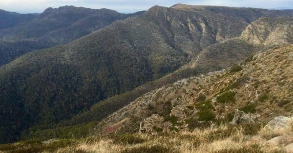 Howqua Feeder and Stanleys Name Spur circuit Howqua feeder and stanleys name spur circuit