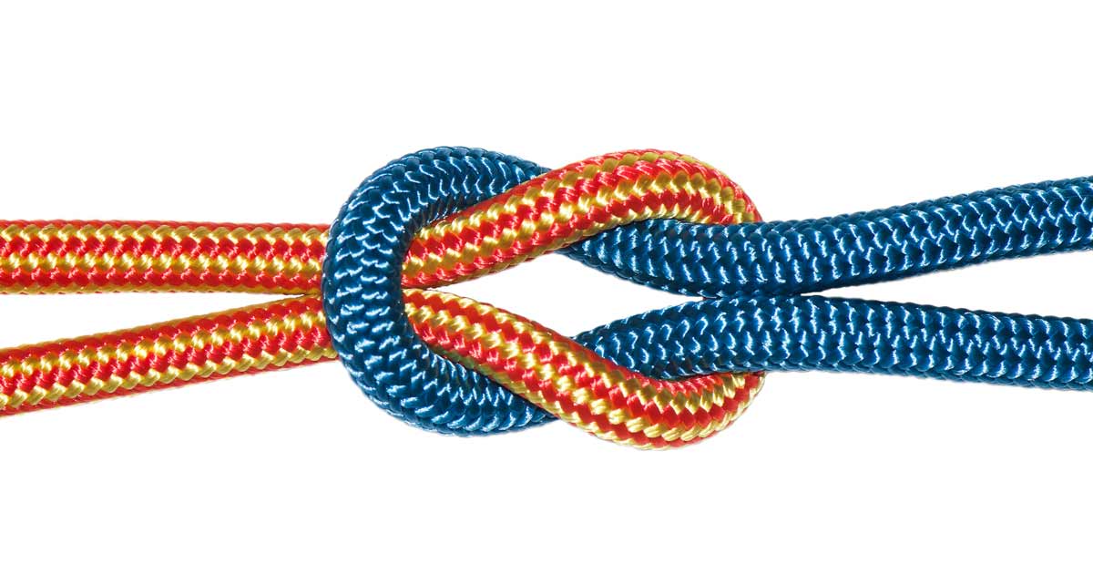 Reef Knot Reef knot